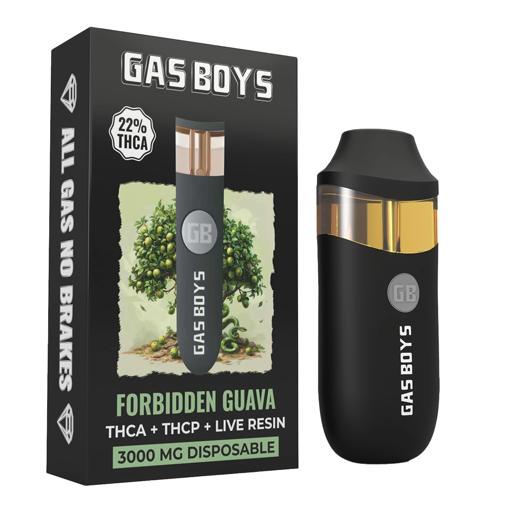 Gas Boys Forbidden Guava THCa 3G Disposable