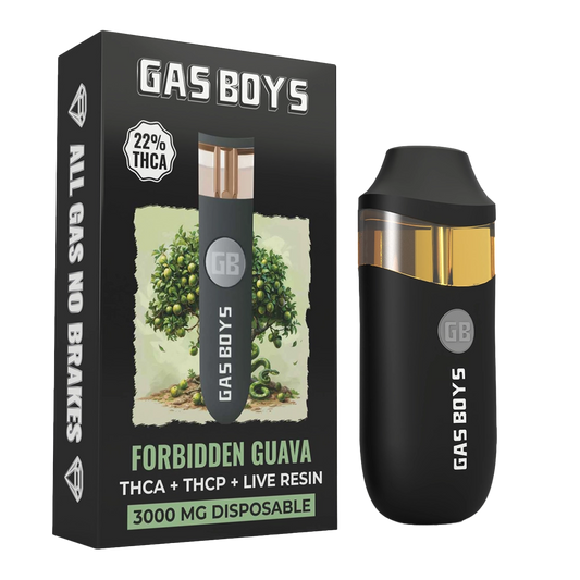 Gas Boys Forbidden Guava THCa 3G Disposable